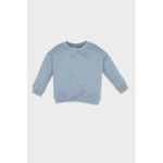 Baby Boy Bike Neck Regular Fit Sweat Shirt - Blue