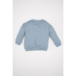 Baby Boy Bike Neck Regular Fit Sweat Shirt - Blue