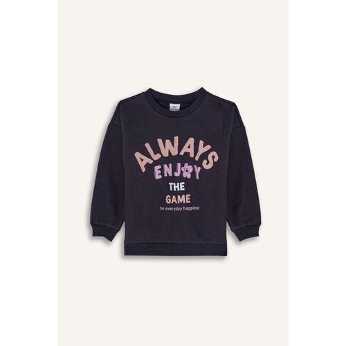 Baby Girl Bike Neck Regular Fit Sweat Shirt - Anthra