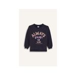 Baby Girl Bike Neck Regular Fit Sweat Shirt - Anthra