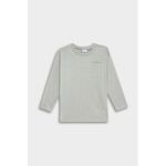 Baby Boy Regular Fit Crew Neck Long Sleeve T-Shirt