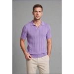 Standard Fit Polo Collar Short Sleeve Polo T-Shirt